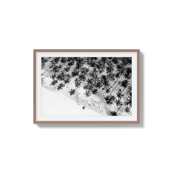 Whispers in the Canopy