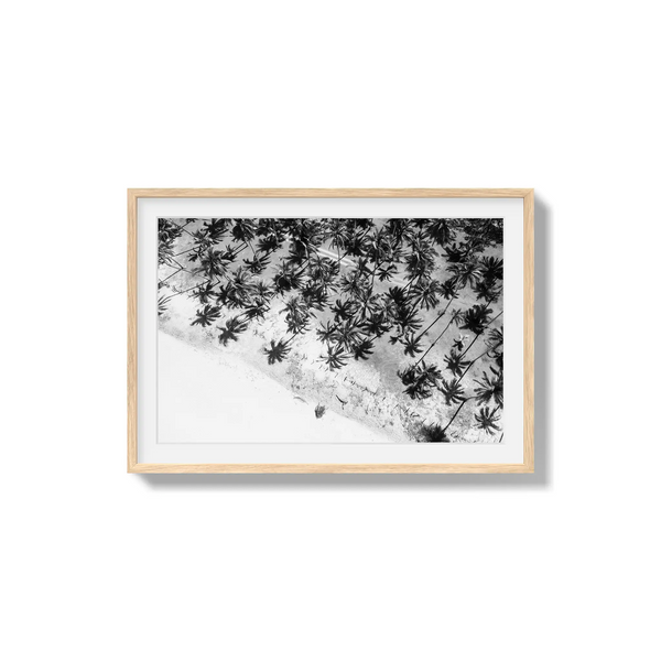 Whispers in the Canopy