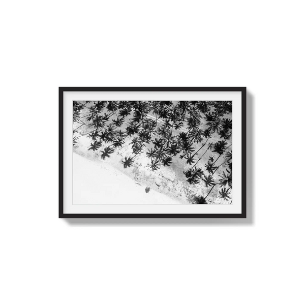 Whispers in the Canopy