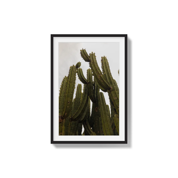 Desert Sculpture