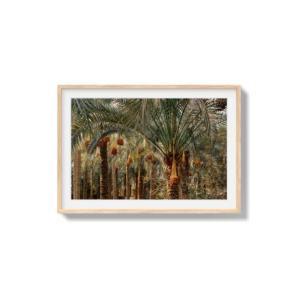 Fruits of the Desert