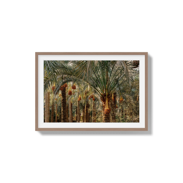 Fruits of the Desert