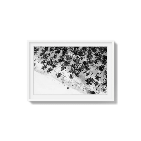 Whispers in the Canopy