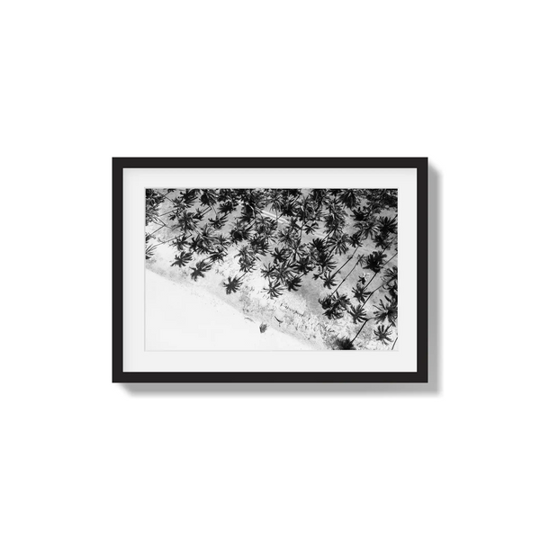 Whispers in the Canopy