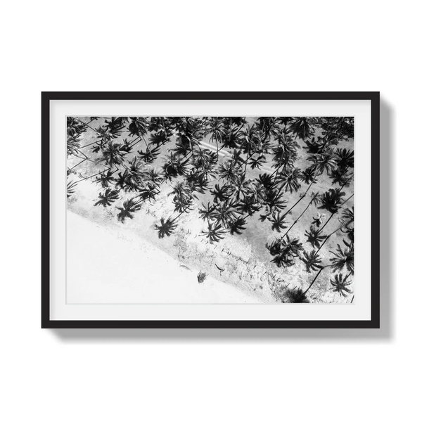 Whispers in the Canopy