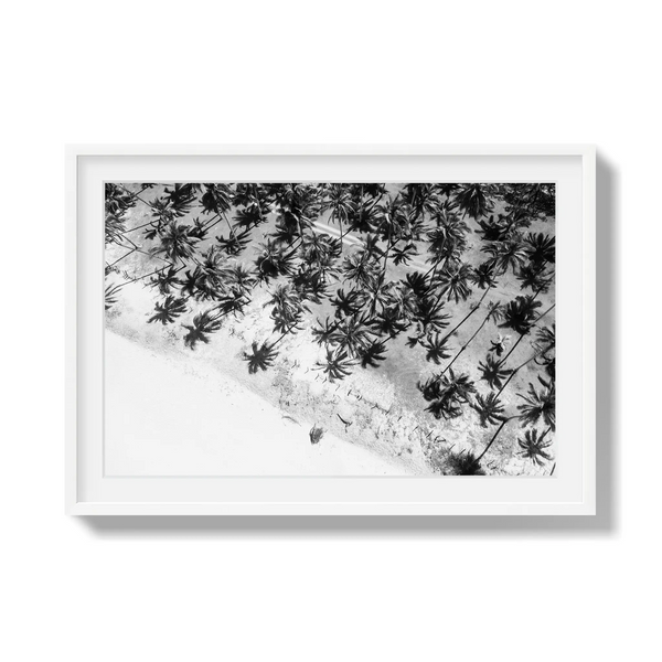 Whispers in the Canopy