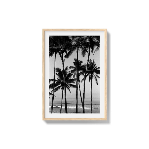 Monochrome Tropics