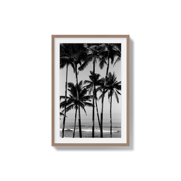 Monochrome Tropics