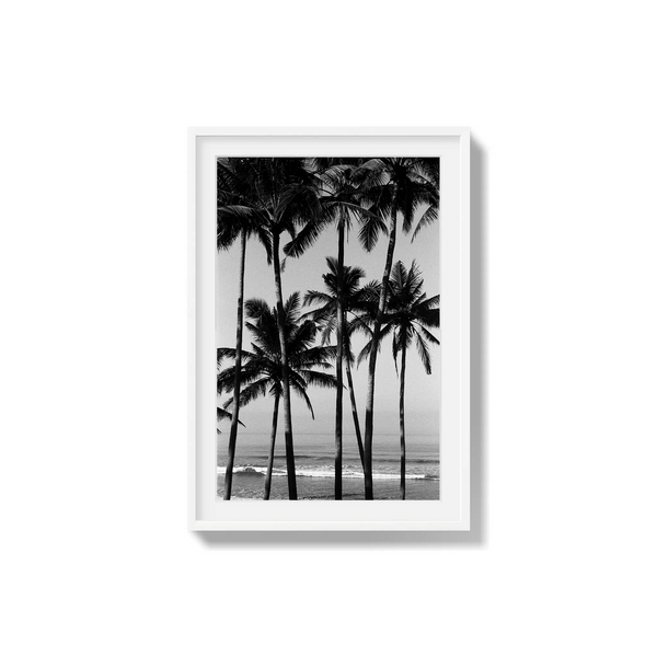 Monochrome Tropics