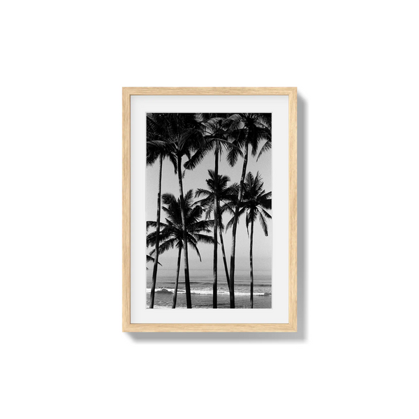 Monochrome Tropics