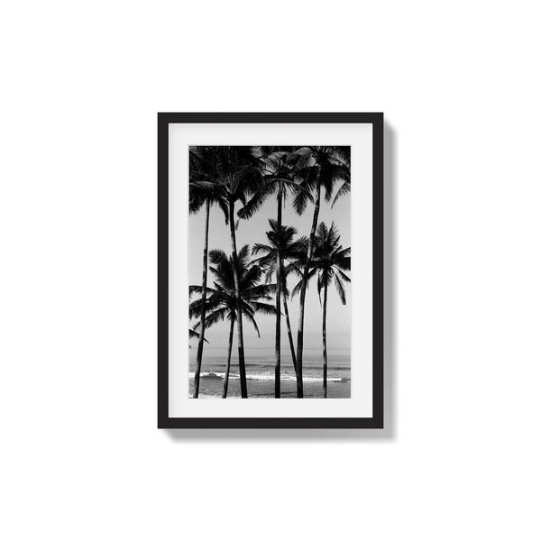 Monochrome Tropics