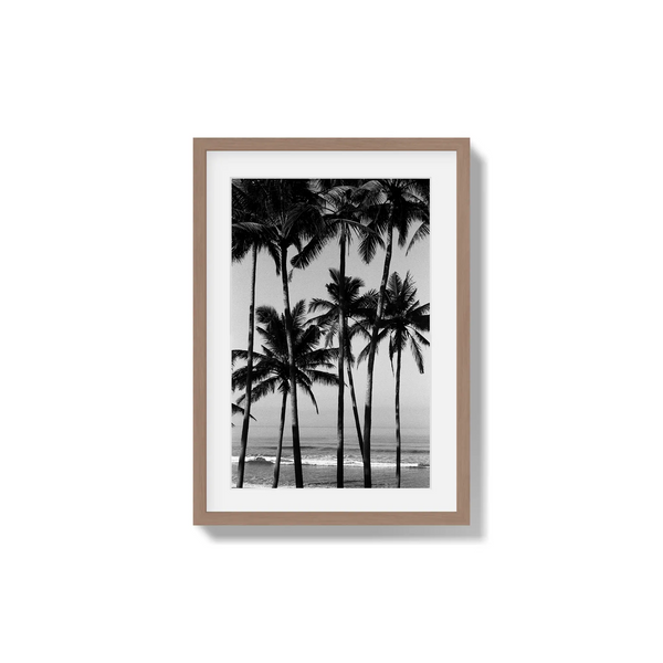 Monochrome Tropics