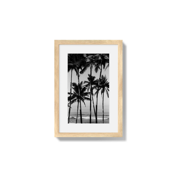 Monochrome Tropics