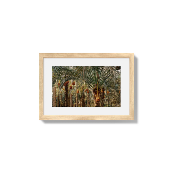 Fruits of the Desert