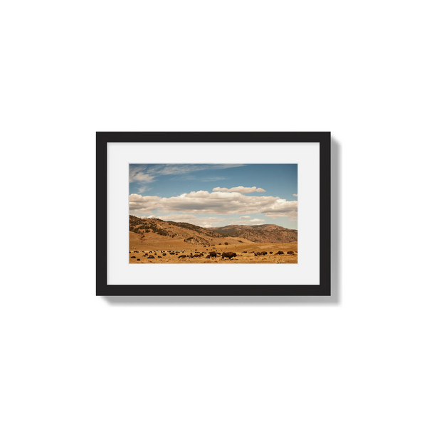 Spirit of the Plains