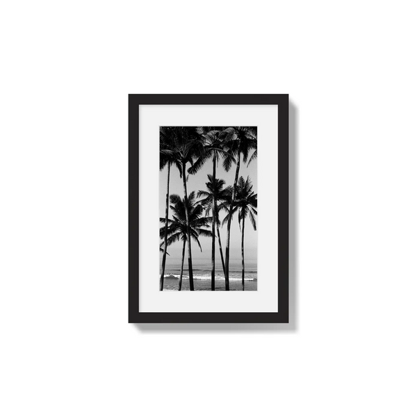 Monochrome Tropics