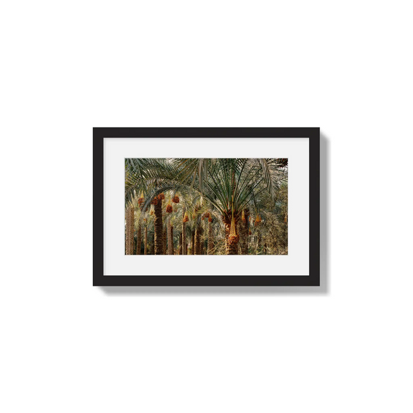 Fruits of the Desert