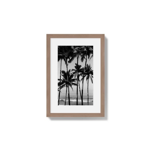 Monochrome Tropics