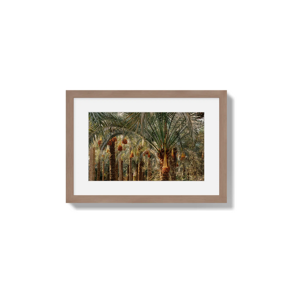 Fruits of the Desert