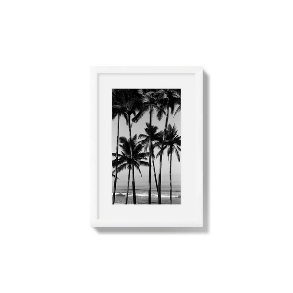 Monochrome Tropics