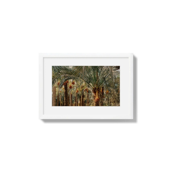 Fruits of the Desert