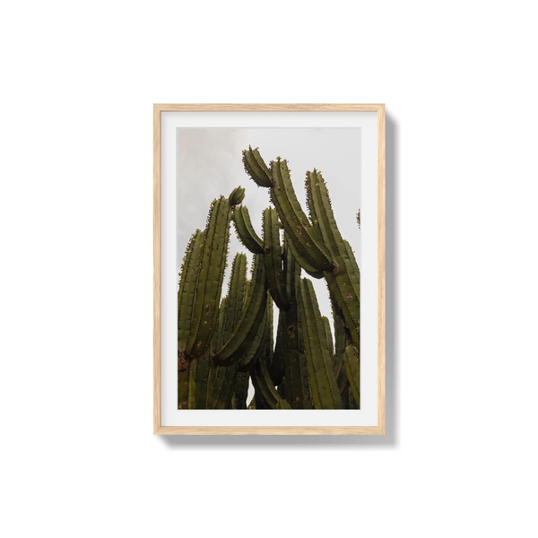 Desert Sculpture
