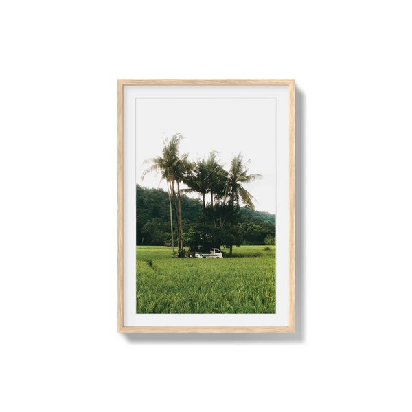 Under Palms