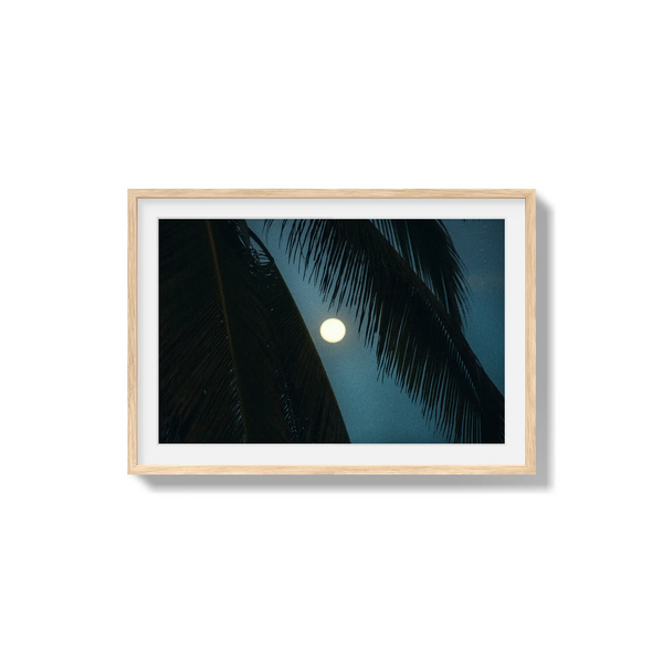 Palmlight