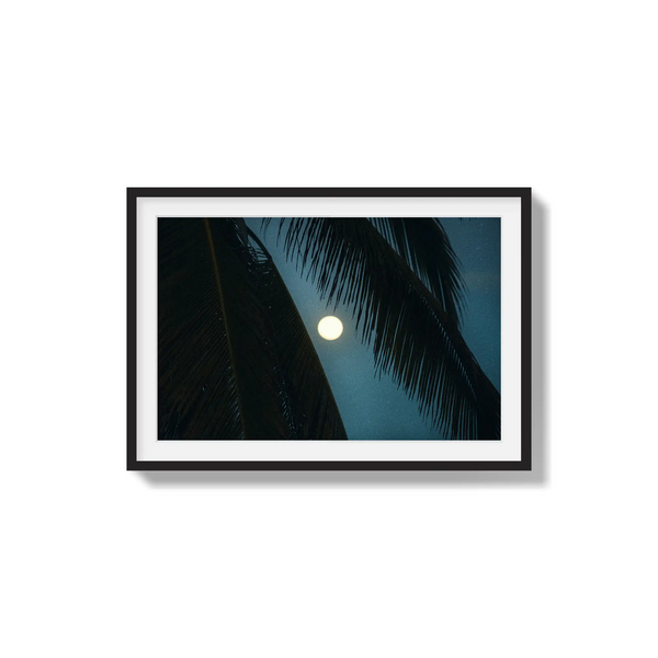 Palmlight
