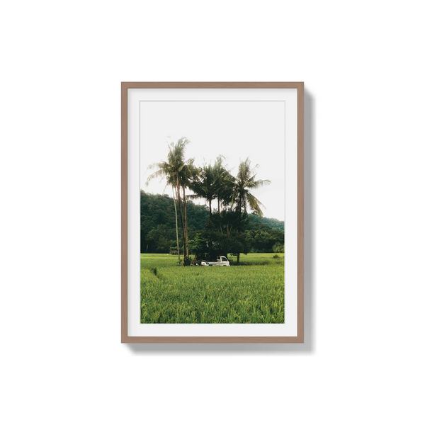 Under Palms