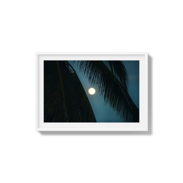Palmlight