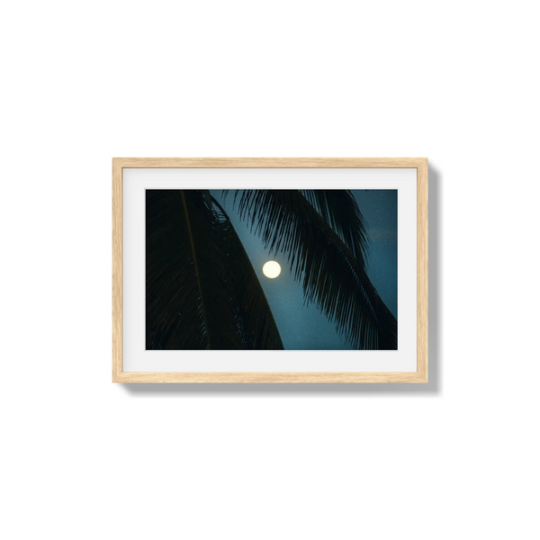 Palmlight