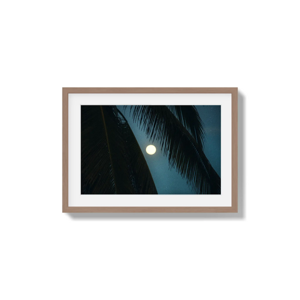 Palmlight