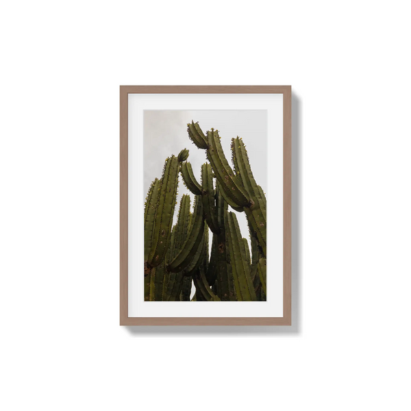 Desert Sculpture