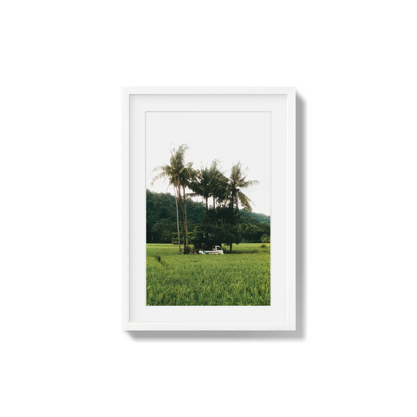 Under Palms
