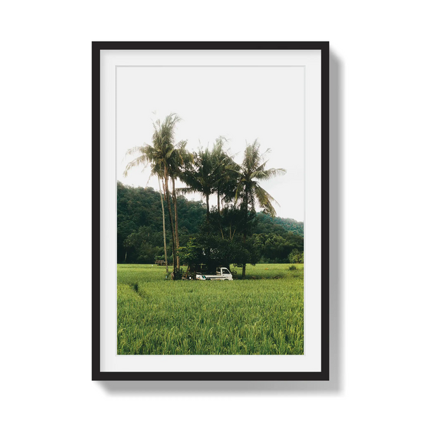 Under Palms