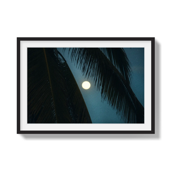 Palmlight