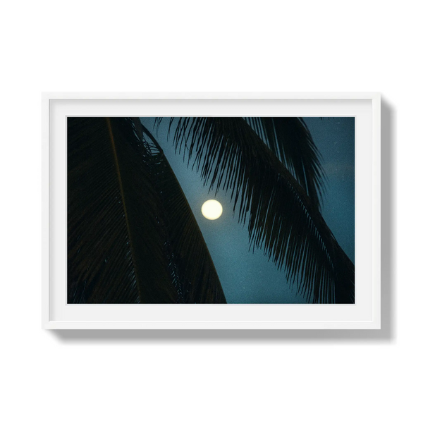 Palmlight