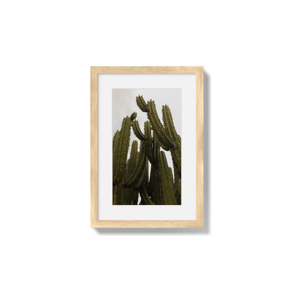 Desert Sculpture