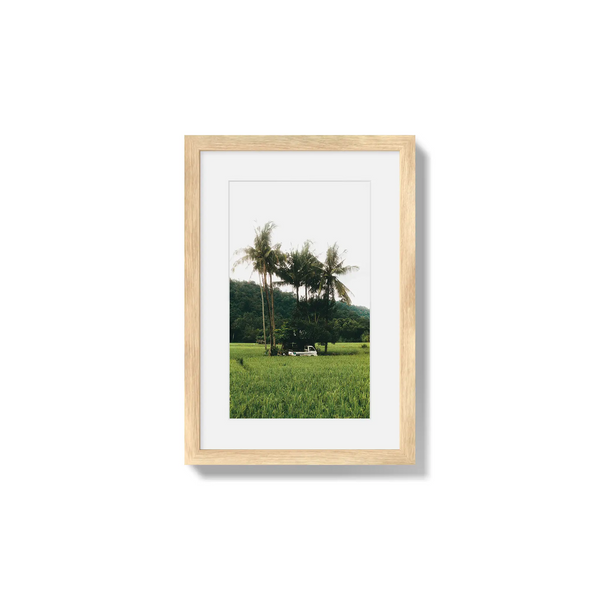 Under Palms