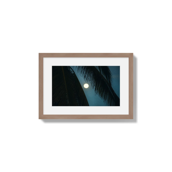 Palmlight