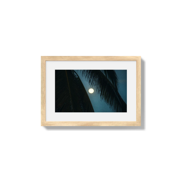 Palmlight