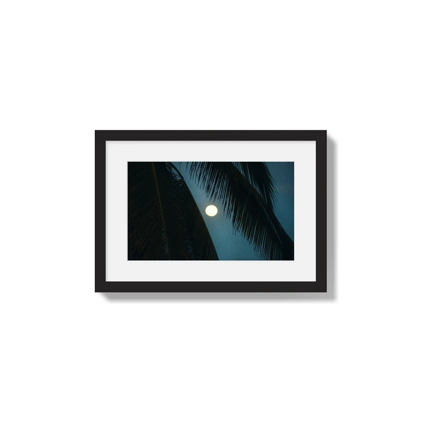 Palmlight