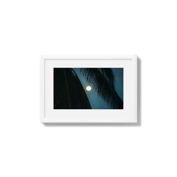Palmlight