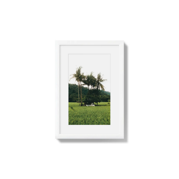 Under Palms